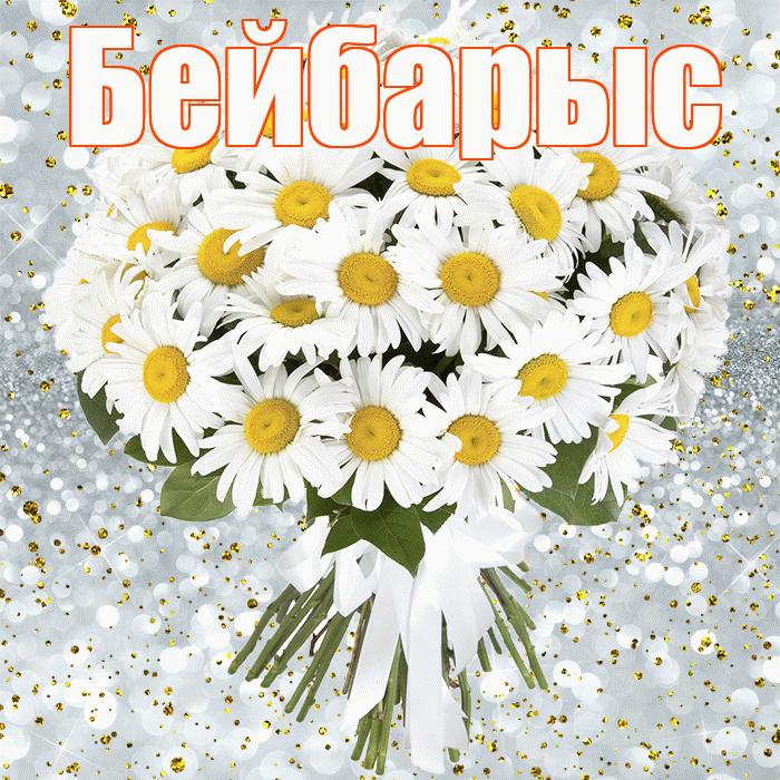 Бейбарыс! С прошедшим днем рождения! Красивая открытка Бейбарысу!