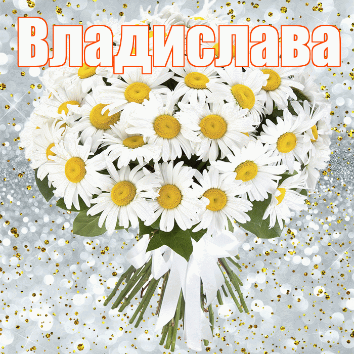 Владислава! С прошедшим днем рождения! Красивая открытка Владиславе!