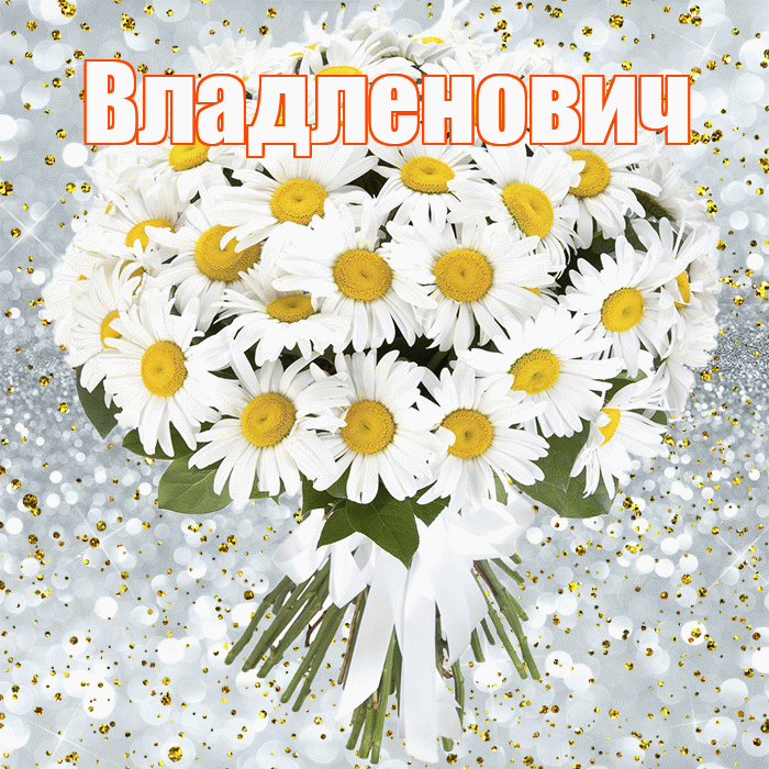 Владленович! С прошедшим днем рождения! Красивая открытка Владленовичу!