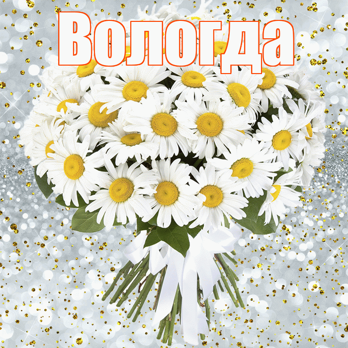 Вологда! С прошедшим днем рождения! Красивая открытка Вологде!