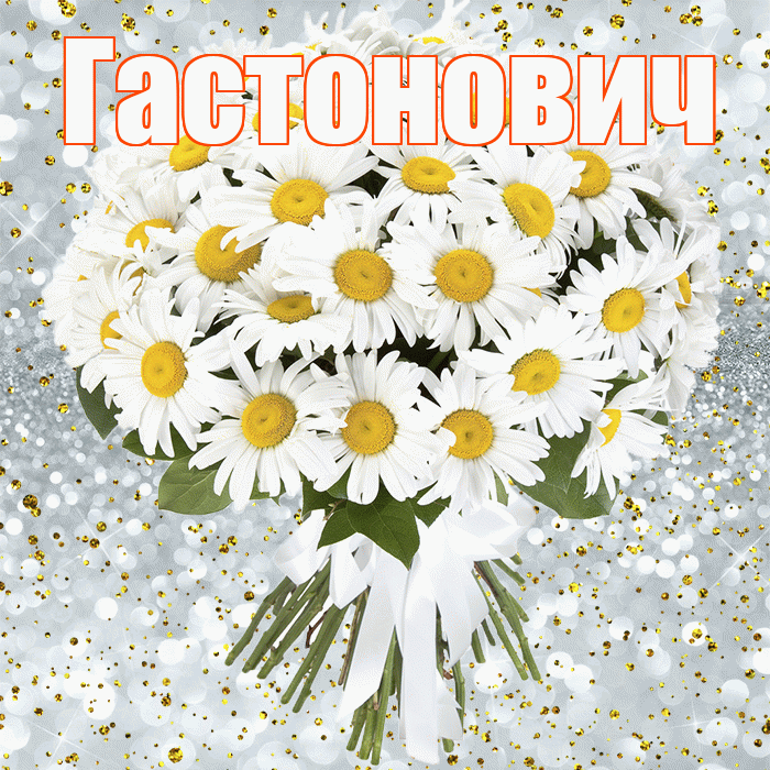 Гастонович! С прошедшим днем рождения! Красивая открытка Гастоновичу!
