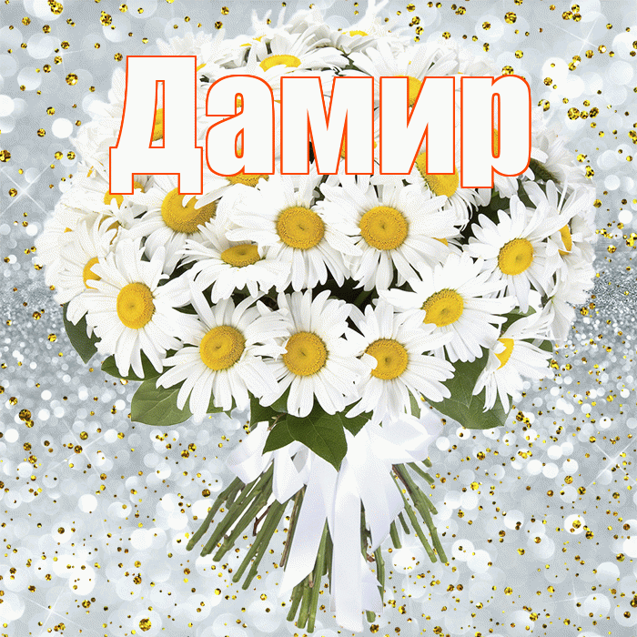 Дамир! С прошедшим днем рождения! Красивая открытка Дамиру!