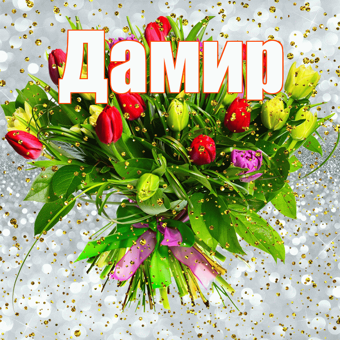 Дамир! С прошедшим днем рождения! Красивая открытка Дамиру!