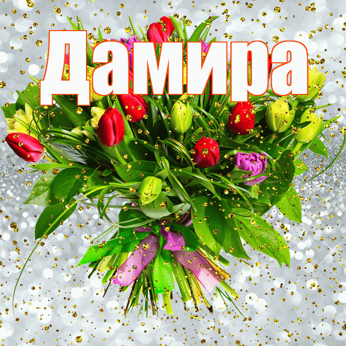 Дамира! С прошедшим днем рождения! Красивая открытка Дамире!