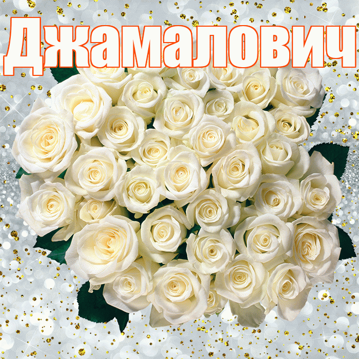 Джамалович! С прошедшим днем рождения! Красивая открытка Джамаловичу!
