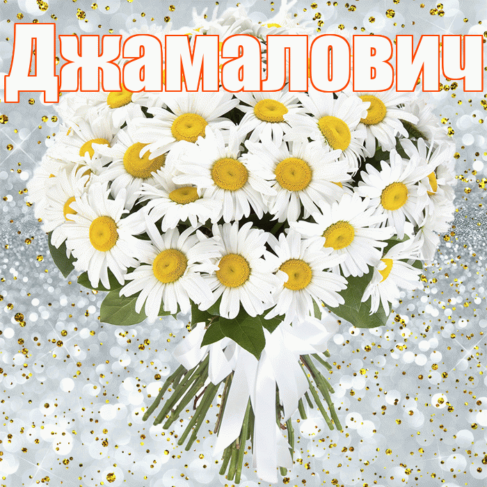 Джамалович! С прошедшим днем рождения! Красивая открытка Джамаловичу!