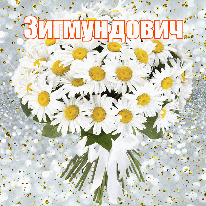 Зигмундович! С прошедшим днем рождения! Красивая открытка Зигмундовичу!