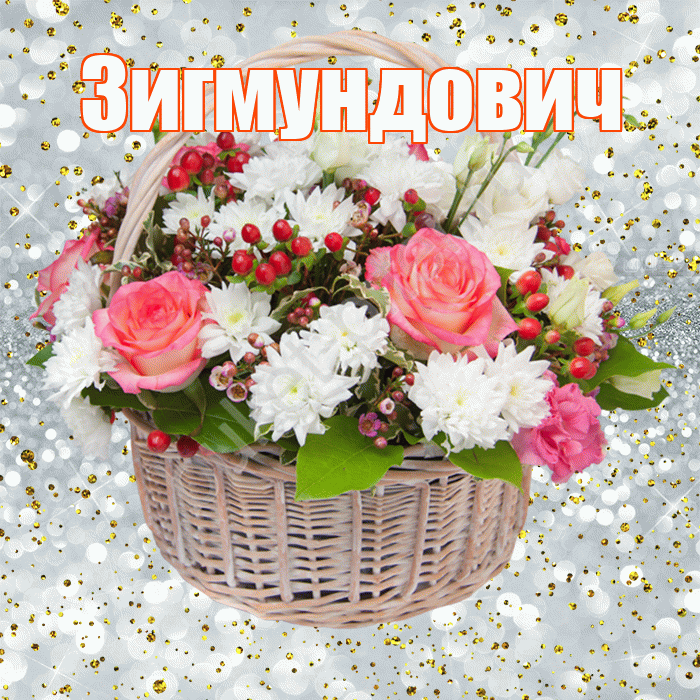 Зигмундович! С прошедшим днем рождения! Красивая открытка Зигмундовичу!
