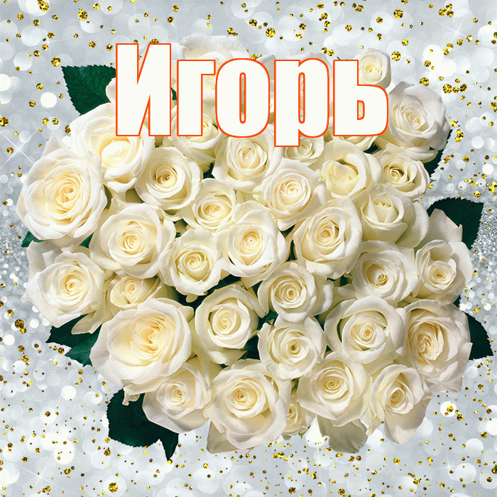Игорь! С прошедшим днем рождения! Красивая открытка Игорю!