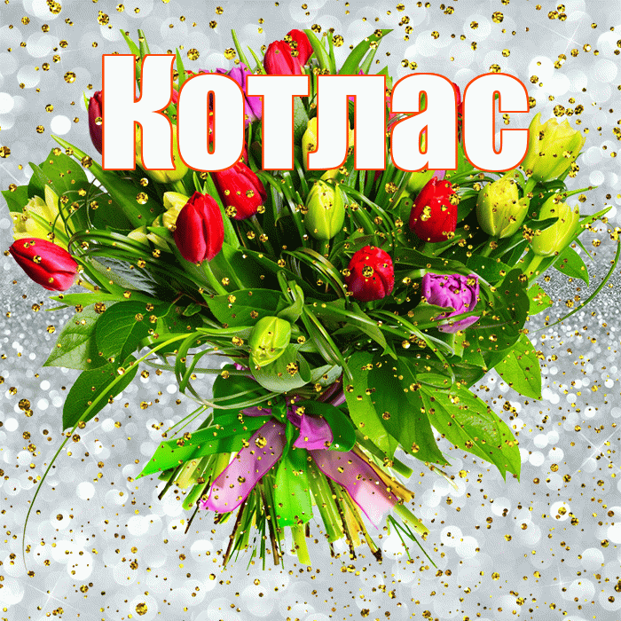 Котлас! С прошедшим днем рождения! Красивая открытка Котласу!