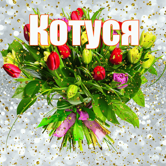 Котуся! С прошедшим днем рождения! Красивая открытка Котусе!