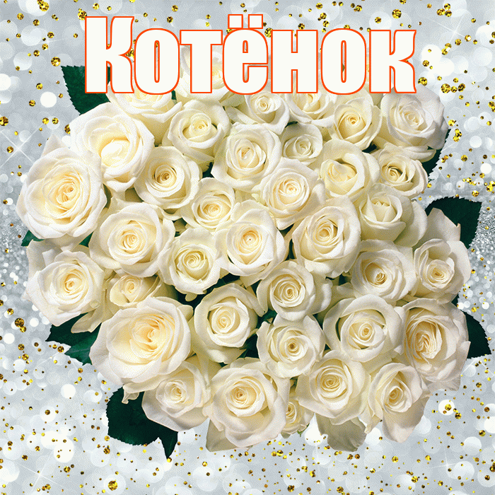 Котёнок! С прошедшим днем рождения! Красивая открытка !