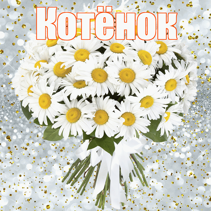 Котёнок! С прошедшим днем рождения! Красивая открытка !