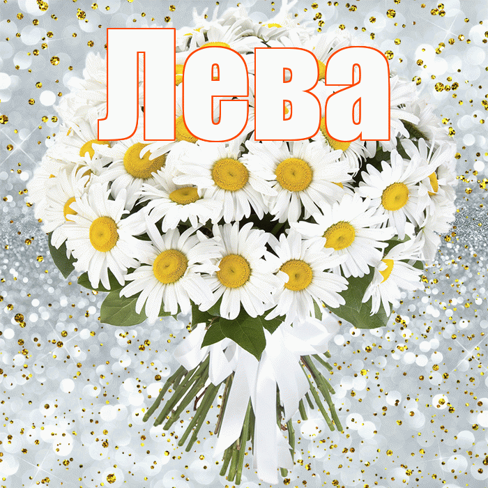Лева! С прошедшим днем рождения! Красивая открытка Лёвой!