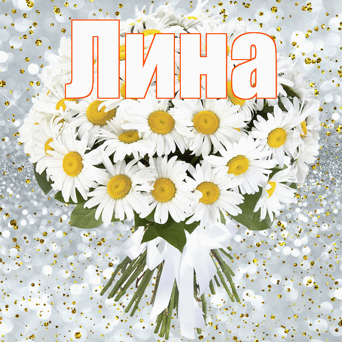 Лина! С прошедшим днем рождения! Красивая открытка Лине!
