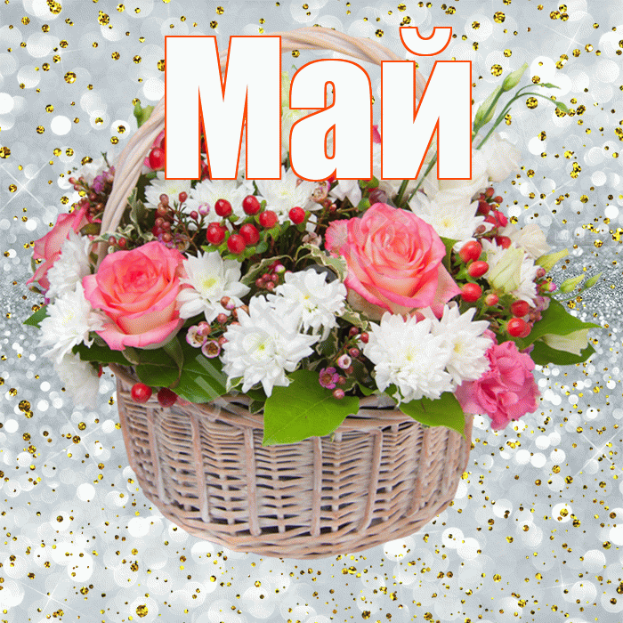 Май! С прошедшим днем рождения! Красивая открытка Маю!
