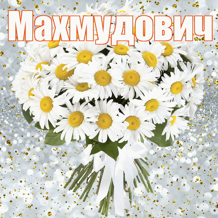 Махмудович! С прошедшим днем рождения! Красивая открытка Махмудовичу!
