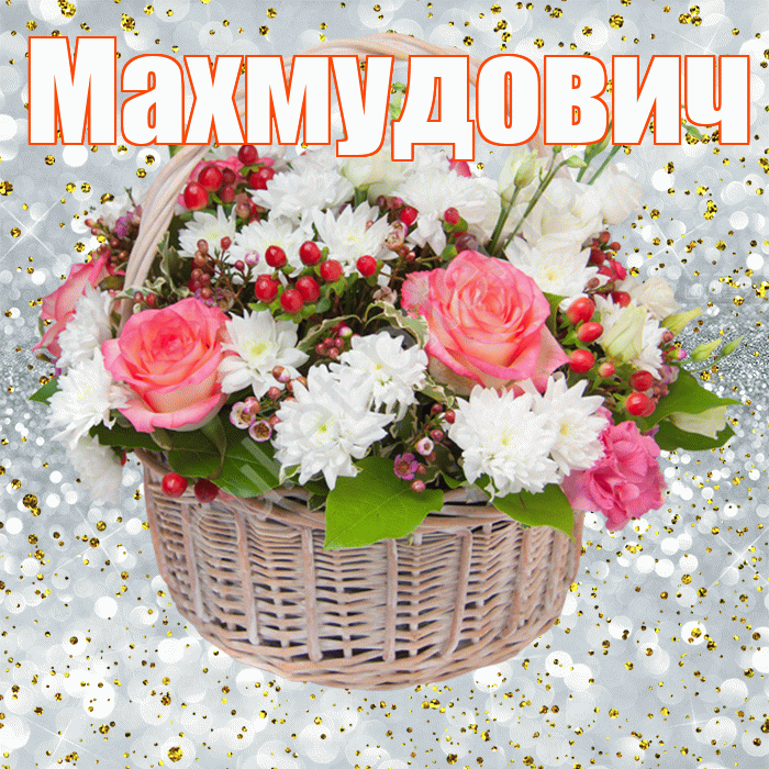 Махмудович! С прошедшим днем рождения! Красивая открытка Махмудовичу!