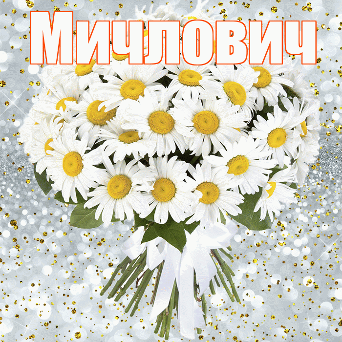 Мичлович! С прошедшим днем рождения! Красивая открытка Мичловичу!