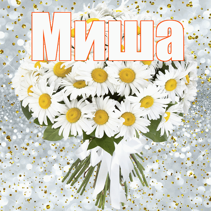 Миша! С прошедшим днем рождения! Красивая открытка Мише!