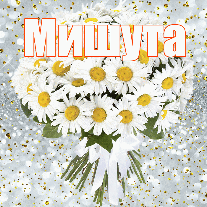 Мишута! С прошедшим днем рождения! Красивая открытка !