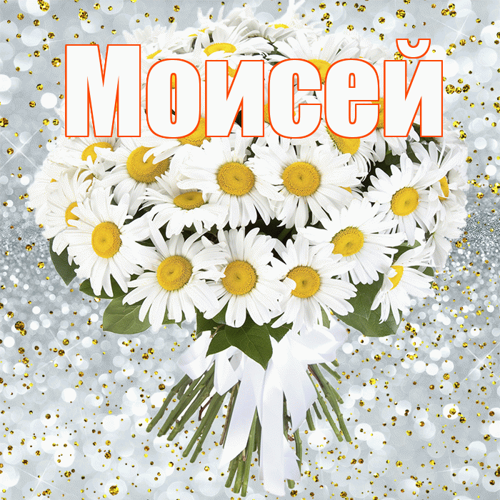 Моисей! С прошедшим днем рождения! Красивая открытка Моисею!