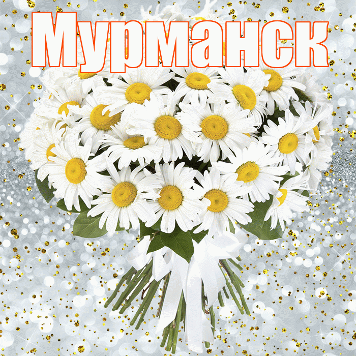 Мурманск! С прошедшим днем рождения! Красивая открытка Мурманску!