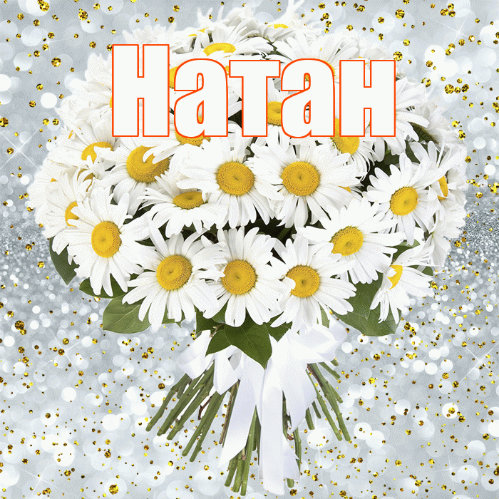 Натан! С прошедшим днем рождения! Красивая открытка Натану!