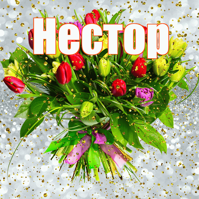 Нестор! С прошедшим днем рождения! Красивая открытка Нестору!