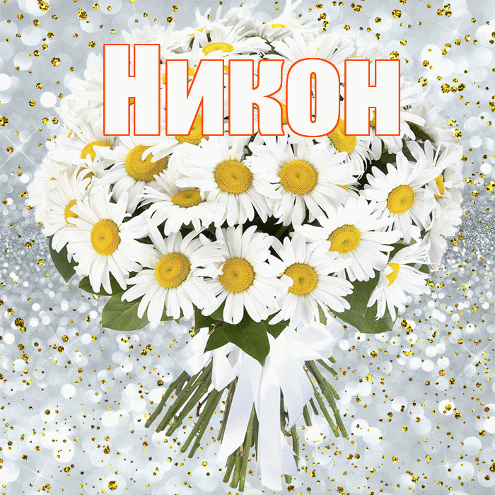 Никон! С прошедшим днем рождения! Красивая открытка Никону!