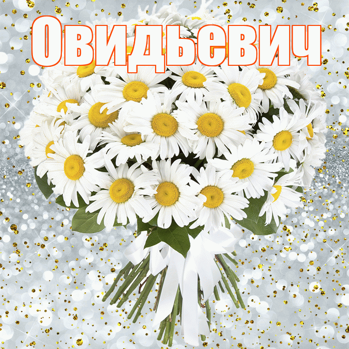 Овидьевич! С прошедшим днем рождения! Красивая открытка Овидьевичу!