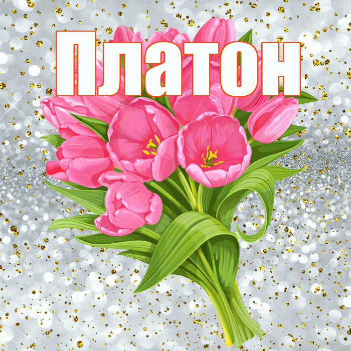 Платон! С прошедшим днем рождения! Красивая открытка Платону!