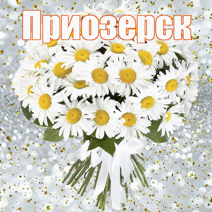 Приозерск! С прошедшим днем рождения! Красивая открытка Приозерску!