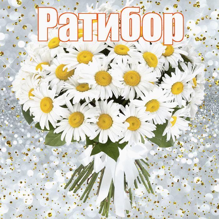 Ратибор! С прошедшим днем рождения! Красивая открытка Ратибору!