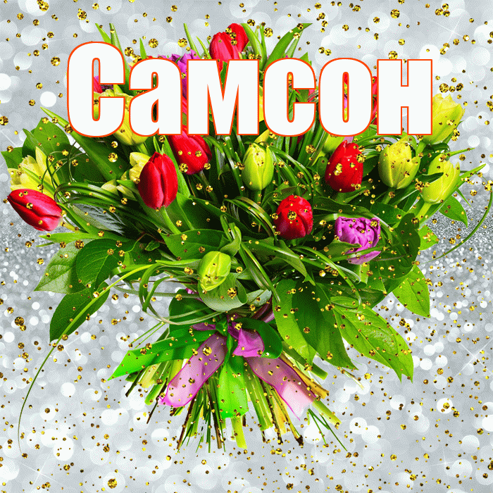 Самсон! С прошедшим днем рождения! Красивая открытка Самсону!