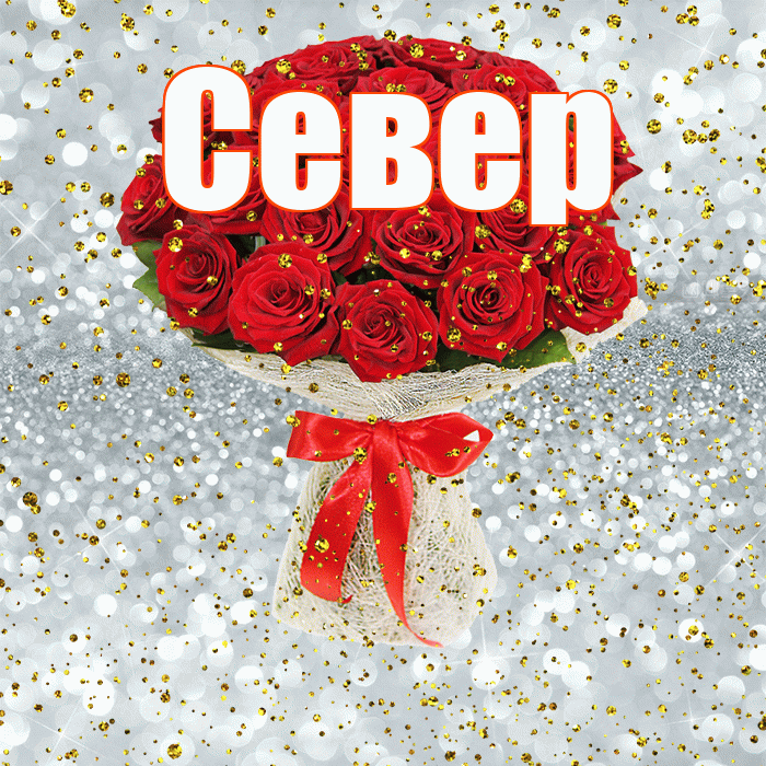 Север! С прошедшим днем рождения! Красивая открытка Северу!