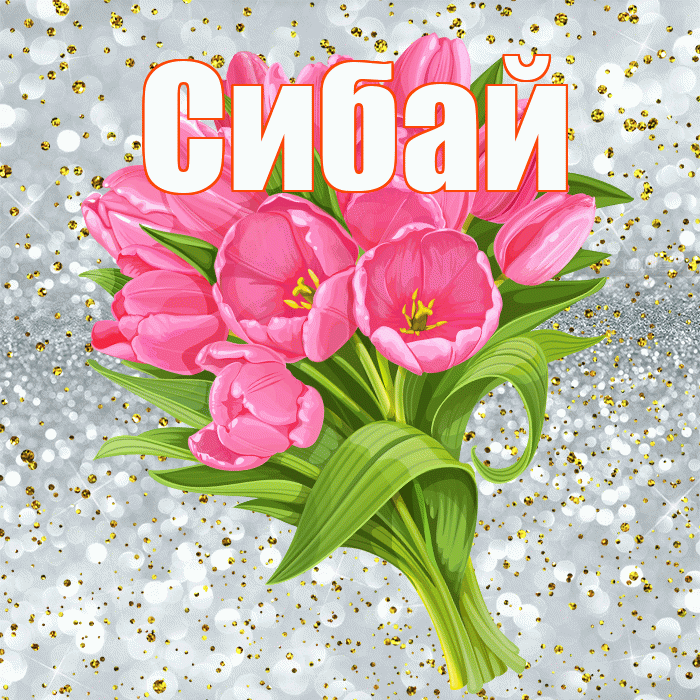 Сибай! С прошедшим днем рождения! Красивая открытка Сибаю!