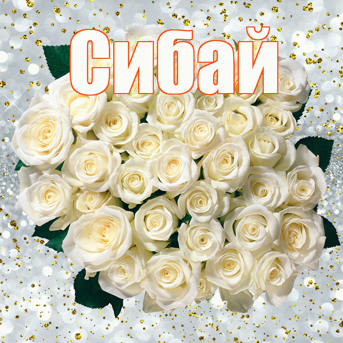 Сибай! С прошедшим днем рождения! Красивая открытка Сибаю!