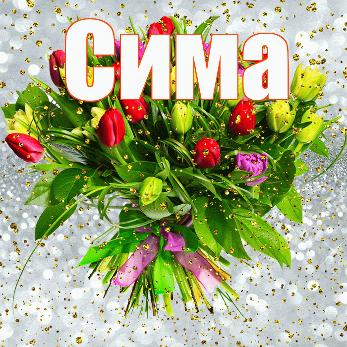 Сима! С прошедшим днем рождения! Красивая открытка Симе!