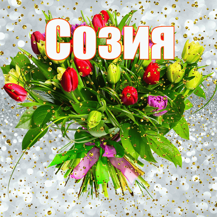 Созия! С прошедшим днем рождения! Красивая открытка Созии!