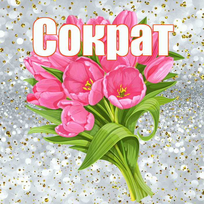 Сократ! С прошедшим днем рождения! Красивая открытка Сократу!
