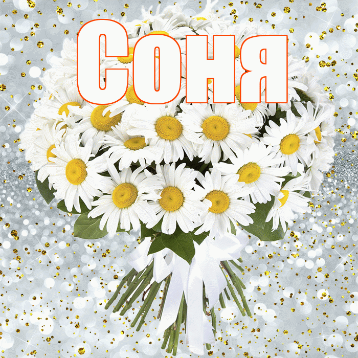 Соня! С прошедшим днем рождения! Красивая открытка Соне!