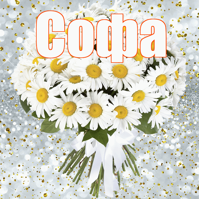 Софа! С прошедшим днем рождения! Красивая открытка Софе!