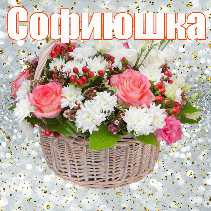 Софиюшка! С прошедшим днем рождения! Красивая открытка !