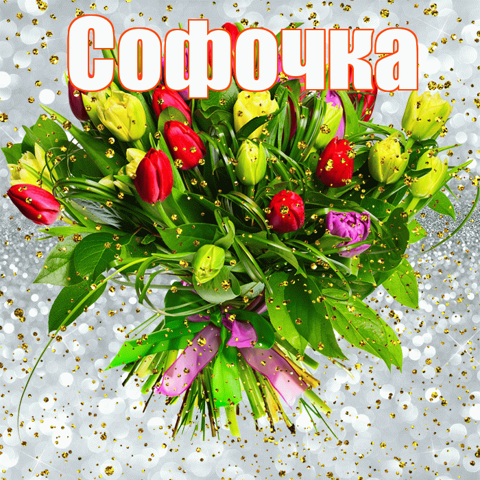 Софочка! С прошедшим днем рождения! Красивая открытка !