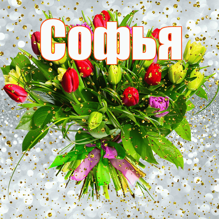 Софья! С прошедшим днем рождения! Красивая открытка Софье!