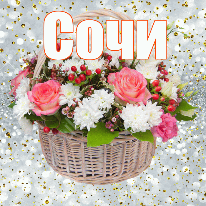 Сочи! С прошедшим днем рождения! Красивая открытка Сочи!