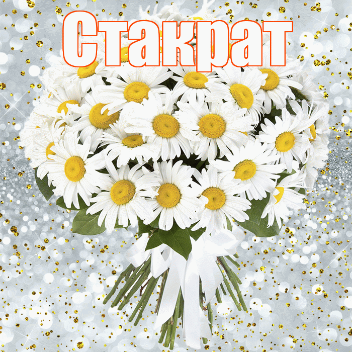 Стакрат! С прошедшим днем рождения! Красивая открытка Стакрату!