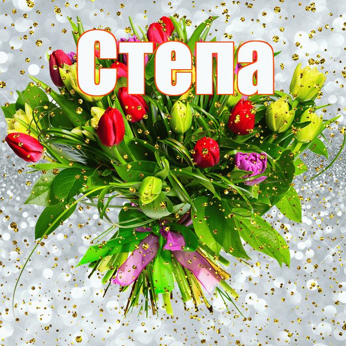 Степа! С прошедшим днем рождения! Красивая открытка Стёпу!