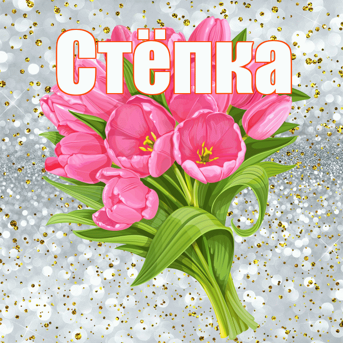 Стёпка! С прошедшим днем рождения! Красивая открытка !